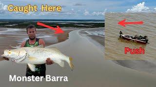 ROPER RIVER MONSTER BARRAMUNDI