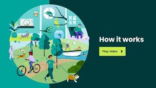 TrustedHousesitters: How it works