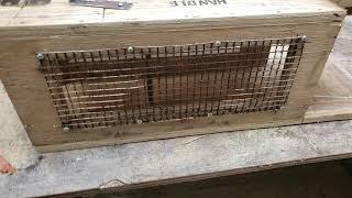 Rabbit trap made out of wood scraps and scrap I had in the garage!