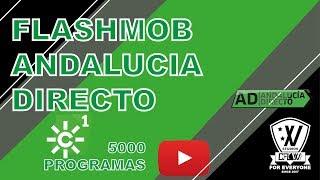 FLASHMOB 5000 PROGRAMAS ANDALUCIA DIRECTO