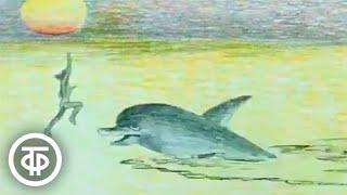Девочка и дельфин. Мультфильм. Музыка Эдуарда Артемьева (1979)