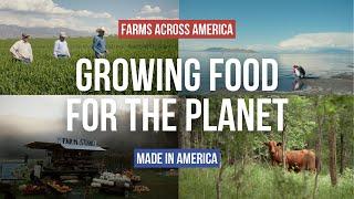 Can Regenerative Farming Revive the Earth and Feed the World?