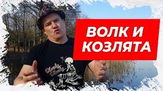 Анекдот про Волка и козлят! Смешной анекдот!