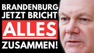 PAUKENSCHLAG: AfD KOALITION IN BRANDENBURG?! SCHOLZ IN PANIK!