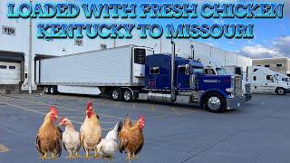 KENTUCKY TO MISSOURI WITH FRESH CHICKEN LOAD IN PETERBILT 389 PRIDE AND CLASS GLIDER.