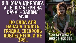 Я в командировку, ты - на дачу! - заявил муж… Но едва Аля начала полоть грядки, свекровь побледнела…