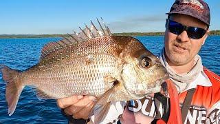 How to fish Moreton Bay shallows with SOFT PLASTICS