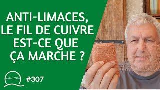 #307-Anti-limaces, le fil de cuivre est ce que ça marche ?