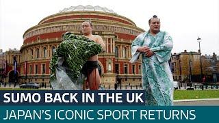 Fancy watching sumo wrestling in the historic Royal Albert Hall? Yes, really | ITV News