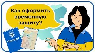 Как оформить временную защиту в Нидерландах?