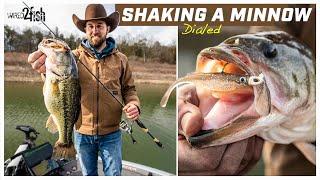 Shaking a Minnow for Winter Bass with Joey Cifuentes