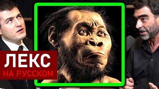 Homo sapiens скрещивались с неандертальцами | Лекс Фридман