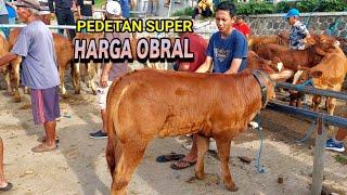 6.500 PEDETAN SUPER HARGA MURAH Pasar Sapi Purwantoro Wonogiri