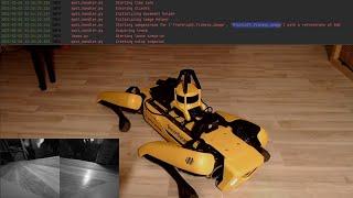 How to program a Twitch Plays Spot Robot (Boston Dynamics) client in python