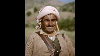 The documentary history of kurds