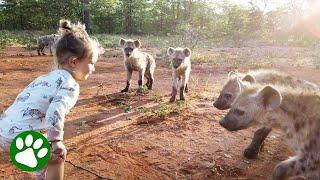 Toddler Is Best Friends With Hyena Clan