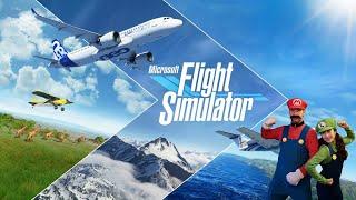 COIFISH Gaming C01D1 Flight Simulator 2020 Thrustmaster Flight stick maiden voyage