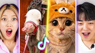 Reacting to CUTEST animals on Tiktok | PEACH