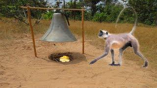 Awesome Quick Monkey Trap Using Big Speaker & Deep Hole That Work 100% By Smart Boy