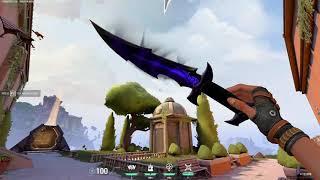 Reaver knife Valorant I is it worth it? I Valorant  knife showcase I Reaver Bundle HD ANIMATION!