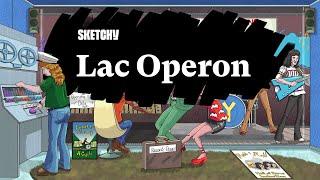 Lac Operon - Metabolism and Gene Expression (Part 1) | Sketchy Medical | USMLE Step 1