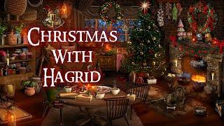 Christmas with Hagrid ASMR Harry Potter ambience ️ (crackling fire, hut activity)