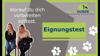 Eignungstest für Therapiehunde, Schulhunde und Besuchhunde - Worauf du dich vorbereiten solltest!