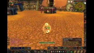 Shadowmuffin Pally PvP Vid