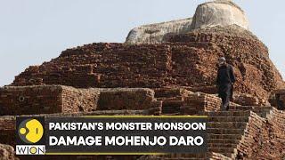 Pakistan's flood threatens UNICEF world heritage site Mohenjo Daro | Latest World News | WION