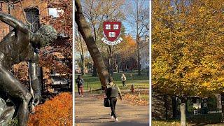 A Day as a Harvard Physics Student | Bank robbers and taco shops