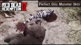 Where To Find A Gila Monster - Red Dead Redemption 2 Perfect Skin Location Guide (RDR2)