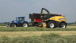 Gras hakselen bij Miskotte door loonbedrijf Bouwhuis met New Holland FR550 Forage Cruiser (2021)