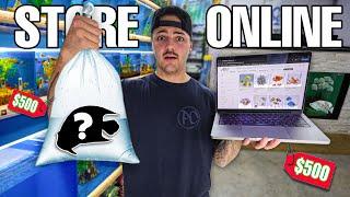 Buying FISH online vs store for My SALTWATER PONDS!!