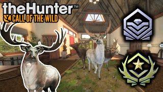 Hunting For Diamonds & Great Ones Fallow Deer in Call of the Wild!