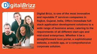Best Web Development Services Company- DigitalBrizz