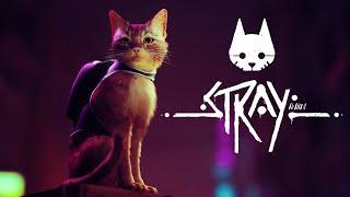 ПРОШЕЛ STRAY ЗА 1Ч 33М 48С (АЧИВКА СКОРОКОТ ВЫПОЛНЕНА!!!!)