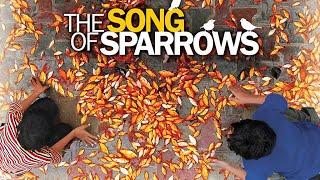 The Song of Sparrows - Full Movie