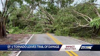 Confirmed tornado rips through Hobe Sound, uprooting trees and damaging buildings