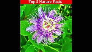 Top Five Nature Facts Part-1 |शीर्ष पांच प्रकृति तथ्य | |#shorts