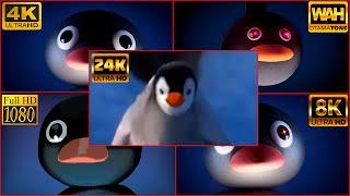 BEST 5 Permission Pingu noot noot