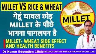 MILLET - WHEAT SIDE EFFECT AND HEALTH BENEFITS//गेहूं चावल छोड़  MILLET के पीछे  भागना पागलपन है