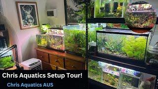 Chris Aquatics Full Detailed Aquarium Tour