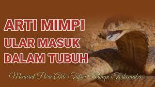 Arti Mimpi Ular Masuk Dalam Tubuh Menurut Pakar Tafsir Mimpi Terkemuka