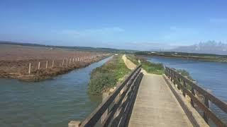 Las Marismas de Barbate- AVera