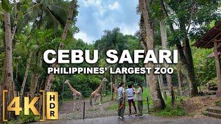 Full Tour at the LARGEST Zoo in the Philippines! CEBU SAFARI & ADVENTURE PARK | Carmen, Cebu