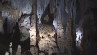 Grotte Postumia - Postojna cave - Postojnska jama - Höhle von Postojna -  Slowenien