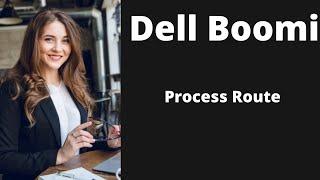 Boomi Training tutorial 24 | Boomi professional developer | Process Route