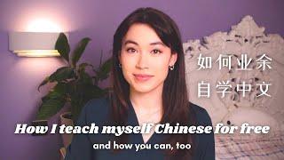 How to Learn Fluent Chinese (Exact Plan for Part-Time Study)