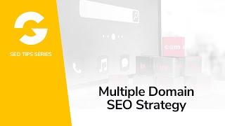 Multiple Domain SEO Strategy