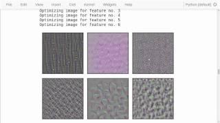 TensorFlow Tutorial #13 Visual Analysis